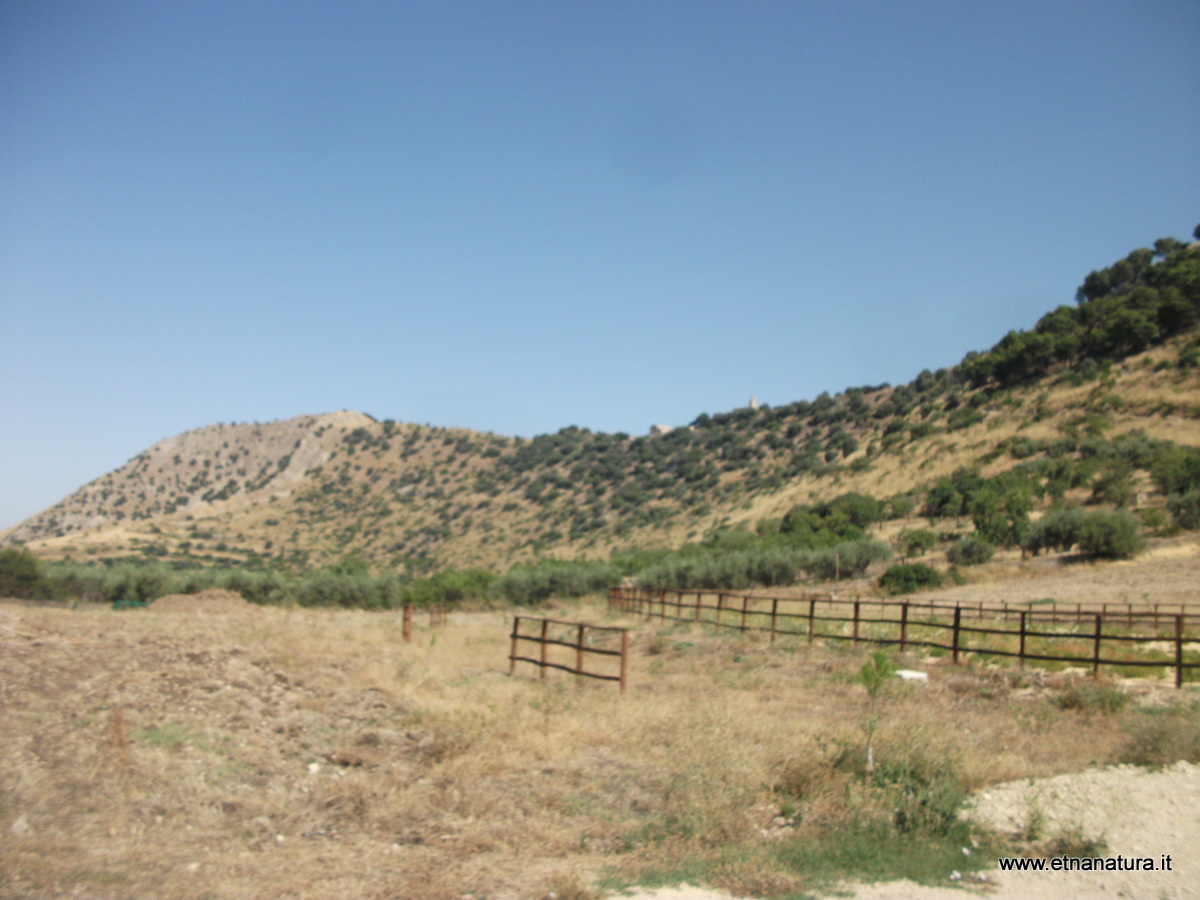 nte Iudica-09-07-2016 09-38-25